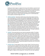 Load image into Gallery viewer, Pool Inspection